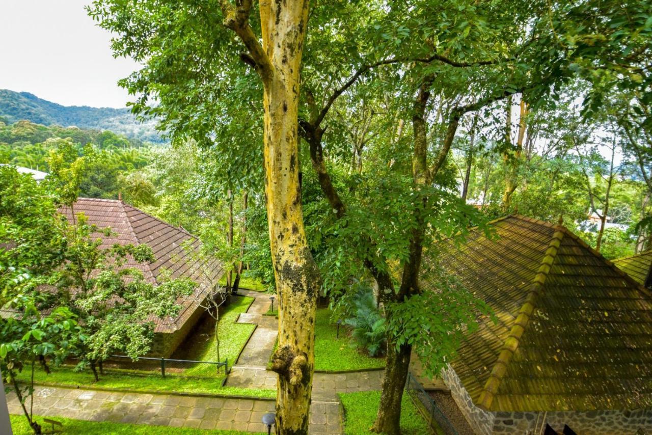 Hotel Treetop تيكَدِيْ المظهر الخارجي الصورة