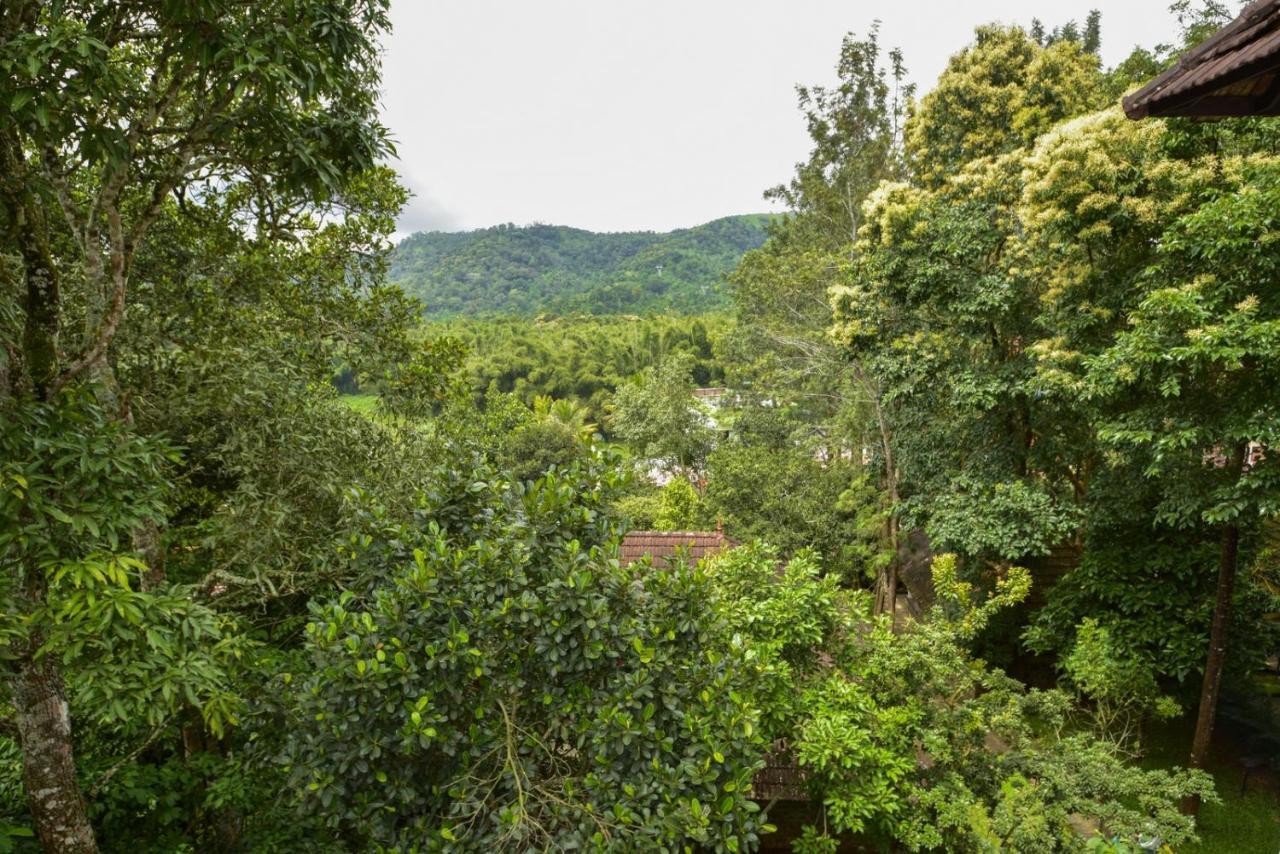 Hotel Treetop تيكَدِيْ المظهر الخارجي الصورة